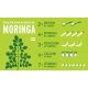 HG MORINGA - POWDER-FILLED CAPSULES, PURE POWDER